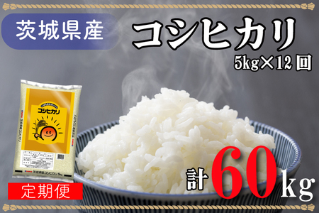 超便利!お米定期便 茨城県産コシヒカリ計60kg(5kg×12回分)