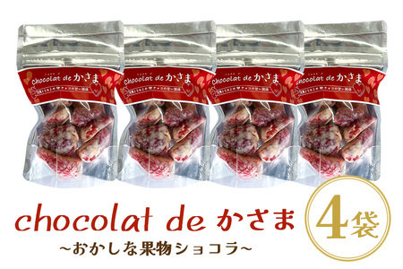 Chocolat de かさま おかしな果実ショコラ 完熟とちおとめの詰め合わせ BH-031