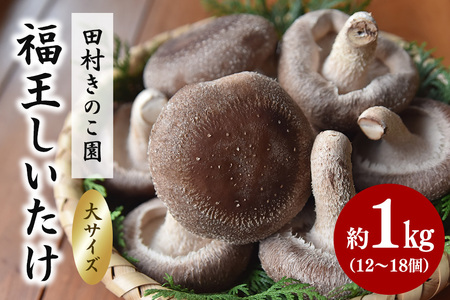 【先行販売/2025年10月中旬～発送】福王しいたけ 大サイズ 約1kg しいたけ 椎茸 IA-003