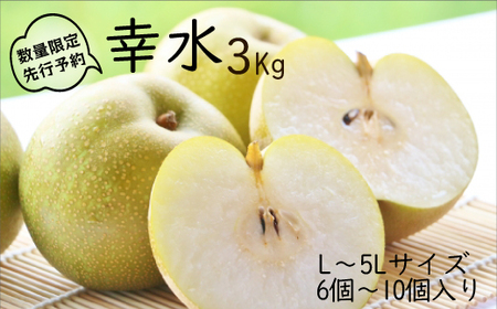 【先行予約】柴沼梨園の梨（幸水）3kg