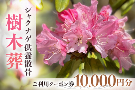 自然供養のカンシャ 樹木葬 シャクナゲ供養散骨 ご利用クーポン券 10000円分 JC-003