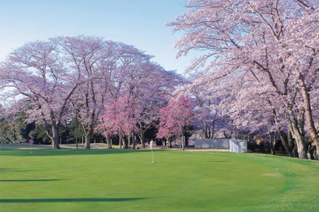 桜の宮ゴルフ倶楽部 ゴルフプレー補助券 9000円分 IV-003