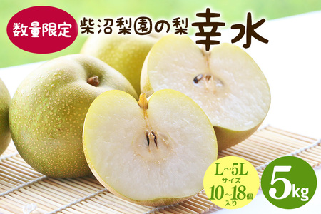 【先行予約/8月中旬から発送】 柴沼梨園の梨 （ 幸水 ） 梨 5kg 10～18個入り L～5Lサイズ BX-016