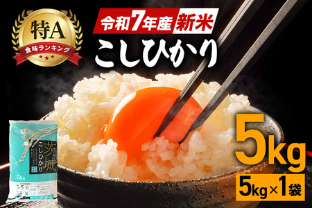 令和7年産 新米 コシヒカリ 米 5kg 白米 こめ こしひかり 国産 国産米 取り寄せ ごはん ご飯 コメ お取り寄せ お弁当 弁当 おにぎり 産地直送 特産 ギフト プレゼント 贈り物 茨城県 笠間市 いばらき FH-012