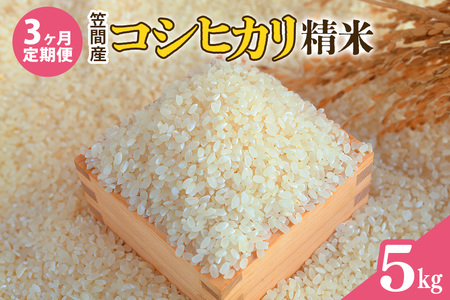 [3カ月定期便] 令和6年度 笠間産 コシヒカリ 5kg (5kg×3回 計15kg) 精米 お米 米 白米 ご飯 茨城県 CU-028-R6