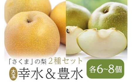さくま梨園 旬 梨 2種 セット 幸水梨 豊水梨 ギフト 贈答用 果物 フルーツ 笠間市 茨城県 EU-003
