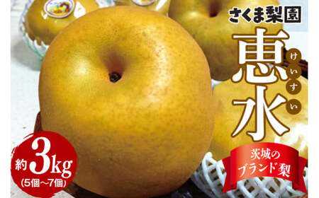 さくま梨園 恵水梨 梨 旬 果物 フルーツ ギフト 贈答用 茨城県 笠間市 EU-005