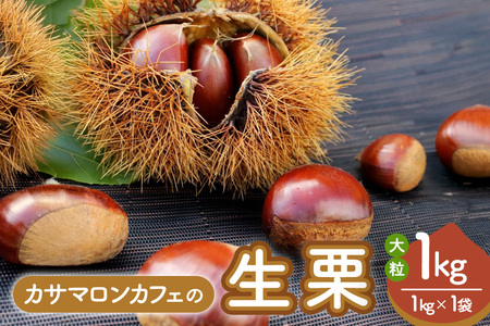 【2025年 秋 出荷】生栗 1kg×1袋 1kg 特大 サイズ 3L 以上 大粒 大きい 数量限定くり クリ 笠間の栗 栗ごはん カサマロン 国産 先行予約 モンブラン 栗きんとん 冷蔵 笠間市 KA-002