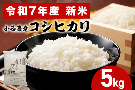 小西農産 令和7年産 コシヒカリ 5kg 米 白米 こめ こしひかり 国産 国産米 ごはん ご飯 コメ 取り寄せ お弁当 弁当 おにぎり 農家直送 産地直送 極上 ギフト プレゼント 贈り物 茨城県 笠間市 いばらき かさま KE-001