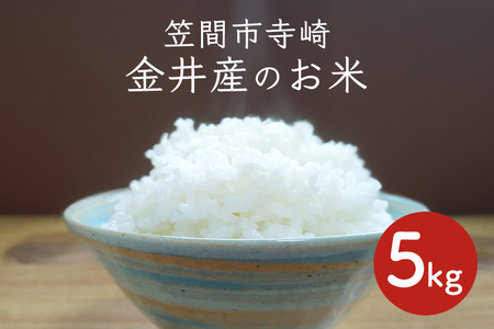 令和7年産 コシヒカリ 5kg 精米 色彩選別 こしひかり お米 白米 こめ 国産 ごはん ご飯 コメ 取り寄せ お弁当 弁当 おにぎり 茨城県 笠間市 いばらき