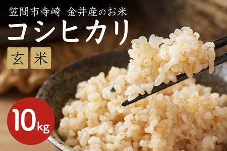 令和7年産 コシヒカリ 10kg 玄米 こしひかり お米 こめ 国産 ごはん ご飯 コメ 取り寄せ お弁当 弁当 おにぎり 茨城県 笠間市 いばらき