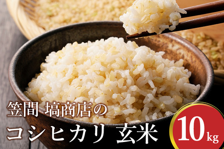 コシヒカリ 玄米 10kg 米 令和7年度産 笠間 塙商店 ブランド米 お米 げんまい 国産 おにぎり 弁当 R7年産 ごはん おいしい 旨い ふっくら お米 茨城県 笠間市 いばらき ID-033