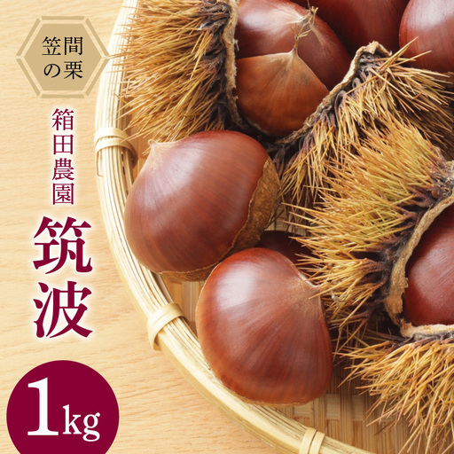 笠間の栗・箱田農園の生栗「筑波 」1kg JN-006