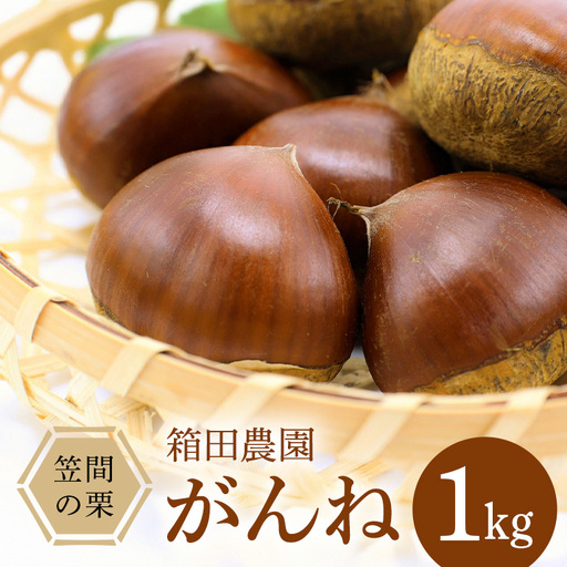 笠間の栗・箱田農園の生栗「がんね 」1kg JN-007