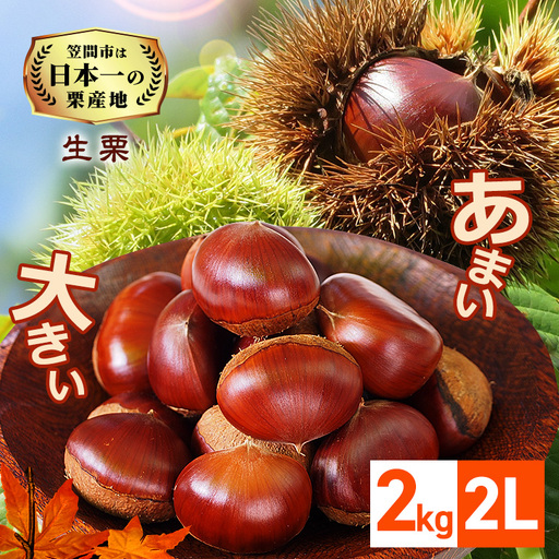 【2026年先行予約】 生栗 2kg 栗 2L 農産物直売所すわ ＜10月以降順次発送予定＞ JV-006