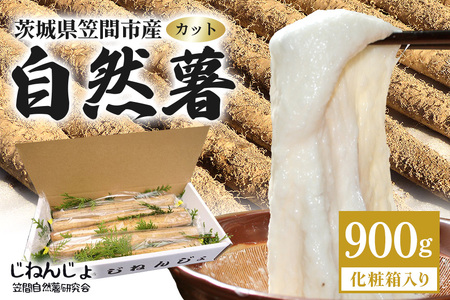  笠間自然薯研究会の自然薯カット　約900g