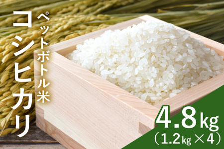 かさまの粋認証 特別栽培米 コシヒカリペットボトル米