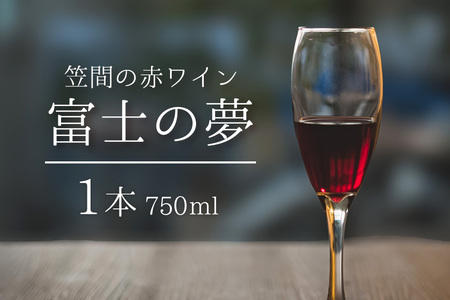笠間赤ワイン 富士の夢 1本 CP-001
