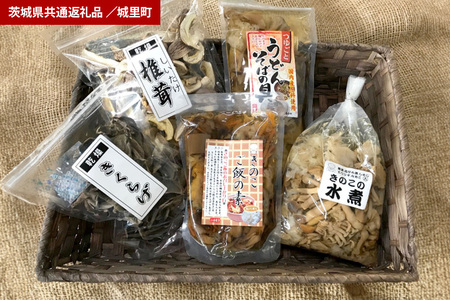 きのこの加工品詰め合わせ 5点セット(茨城県共通返礼品・城里町産) HE-004