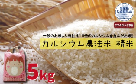 カルシウム農法米 精米5kg(茨城県共通返礼品・かすみがうら市産)
