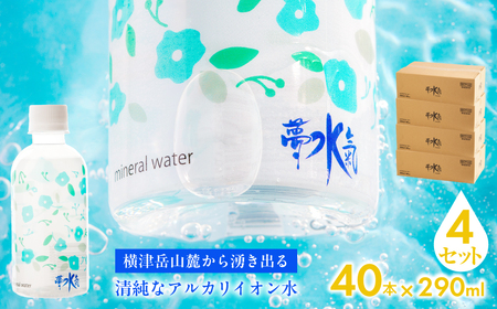 ~lEH[^[i290ml×40{j4Zbg VRAJCI NABI006
