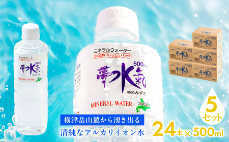 ミネラルウォーター夢水氣(500ml×24本)5セット 天然アルカリイオン水 軟水 [ふるさと納税 人気 おすすめ ランキング 天然アルカリイオン水 天然水 ミネラルウォーター 横津岳山麓 北海道 七飯町 送料無料]