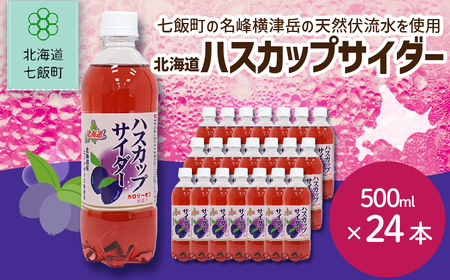 ハスカップサイダー24本(500mlペットボトル)