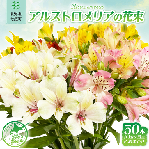 アルストロメリアの花束(30本)