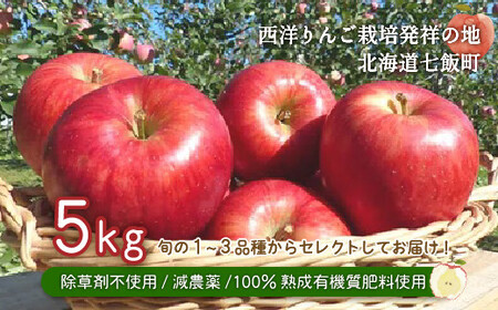 [先行予約]北海道七飯町産 りんご 5kg 有機質肥料使用