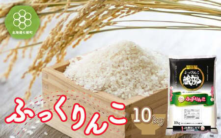 ߘa7NY kCY ӂ 10kg AN   NAA001