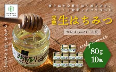 完熟生はちみつ ガロはちみつ・初夏（アカシア）（80g）10瓶セット　お料理にも使える