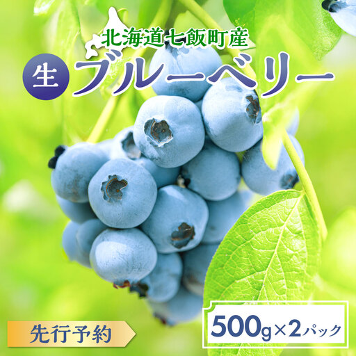 【先行予約】 令和8年7月下旬頃より発送  北海道七飯町産 生ブルーベリー 500g×2パック NAR001