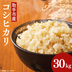 yߘa7NxYzsY RVqJ 30kg |   Ђ JA 錧 s iAR003j