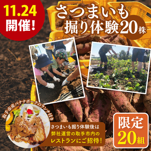 y20gIz11/24JÁI@܂@̌ƎsXgŖ키sYoii|[Ñ`iAS011j