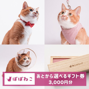 ぽぽねこギフト券(Eメールタイプ)3,000円分オンラインショップで使えるギフト券ペット用品猫