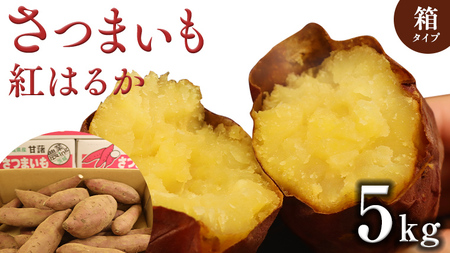 ܂ y g͂邩 z 5kg (  ) Tc}C ܈   ׂɂ͂邩  Ă XC[c  Y