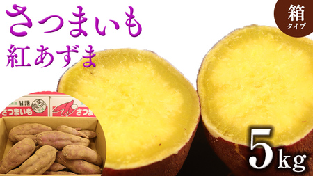 ܂y g z 5kg (  ) Tc}C ܈    Ă XC[c  Y