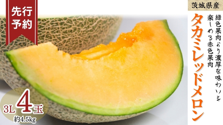 《 先行予約 》 タカミ レッド メロン 3L 4玉 ( 約 4.5kg ) 【 2026年5月下旬発送開始 】 
