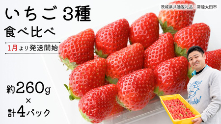 y s\ z 3 Hה׃Zbgi4pbN×1)y 2026N1甭Jn z ( 錧ʕԗi : 헤cs )  260g × 4pbN ΂LbX ЂP 悢Ђ  I 