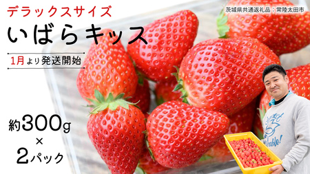 y s\ z ΂LbX ( 2pbN )@ fbNXTCY y 2026N1甭Jn z ( 錧ʕԗi : 헤cs )  300g × 2 pbN ΂LbX ΂炫  ʌ