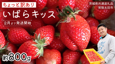 y s\ zs ΂LbX tƖ󂠂 C`S Ղ800g ol s 2026N2ȍ~ ti錧ʕԗi^헤csj 󂠂   x Â Hp Hp W