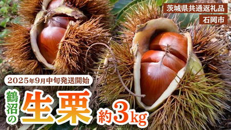 y 2025N9{Jn zΉ ߏ  I 3kg i錧ʕԗiFΉsj I  N } I͂ I  Mtg H̖o ʕ t[c ʌ { H ~  Y H