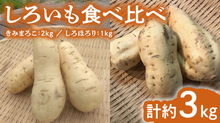 みずほの村市場牛久店 しろいも 食べくらべ ( きみまろこ 2kg しろほろり 1kg)計約3kg 甘い 芋 いも サツマイモ スイーツ 野菜 珍しい野菜