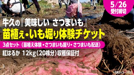 v ́w ܂xcAEňty cǍ E ܂@ E zt z3_Zbg  ̌`Pbg ( g͂邩 12kgnۏؕt )