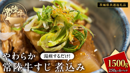 炩 헤  ύ 250g × 6pbN (v 1500g )y錧ʕԗiz@   a ɂ 