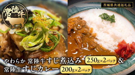 やわらか 常陸牛 すじ煮込み と すじカレー セット 各2パック [茨城県共通返礼品] カレー 牛すじ 煮込み お肉 牛肉 簡単 冷凍 レトルト