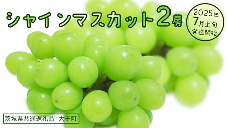 VC}XJbg Q[y2025N7{Jnz(錧ʕԗiFq) Ԃǂ  uhE }XJbg t[c ʕ XC[c