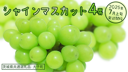 VC}XJbg S[ y2025N7{Jnz(錧ʕԗiFq) Ԃǂ  uhE }XJbg t[c ʕ XC[c