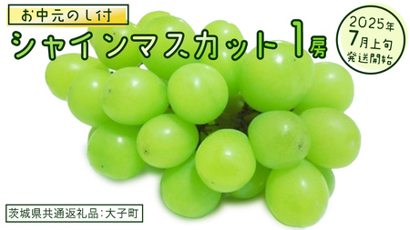 [ お中元 熨斗付き] シャインマスカット 1房 [2025年7月上旬発送開始](茨城県共通返礼品:大子町) ぶどう 葡萄 ブドウ マスカット フルーツ 果物 贈答用 ギフト 贈り物