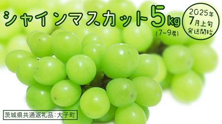 シャインマスカット 5kg (7〜9房)[2025年7月上旬発送開始](茨城県共通返礼品:大子町) ぶどう 葡萄 ブドウ マスカット フルーツ 果物 贈答用 ギフト 贈り物